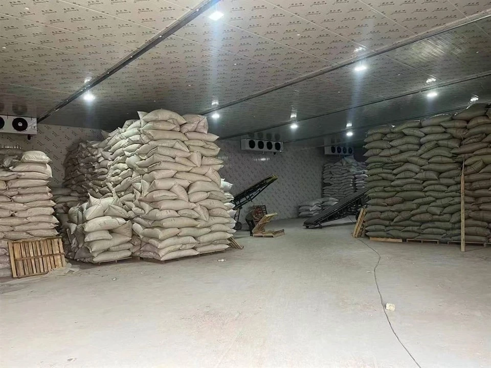 Walk in Cooler suppliers